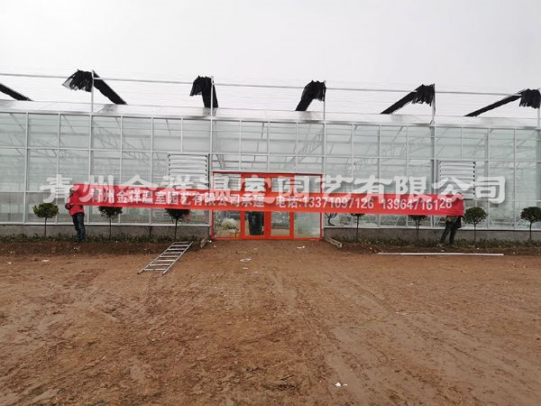 玻璃溫室大棚